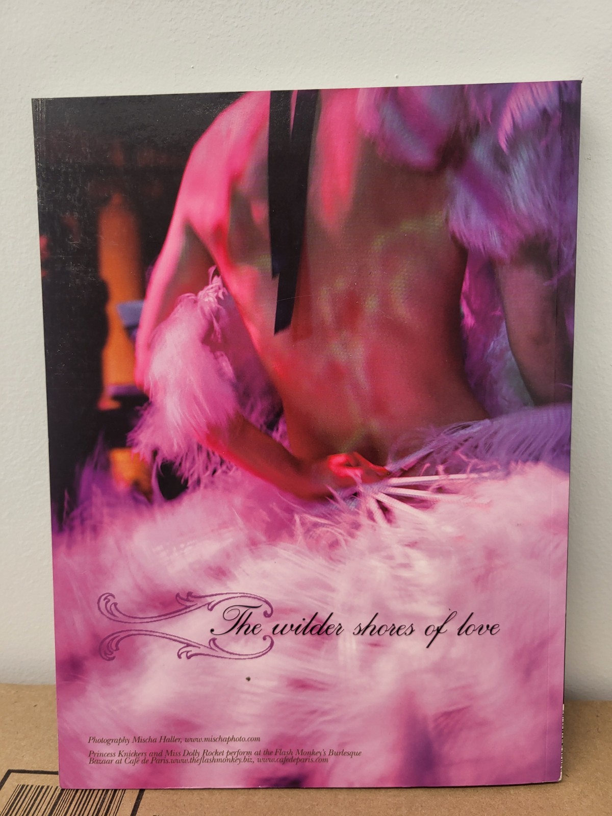 Viewpoint Magazine (Netherlands) No. 18 Burlesque Design Sales Futures 2005