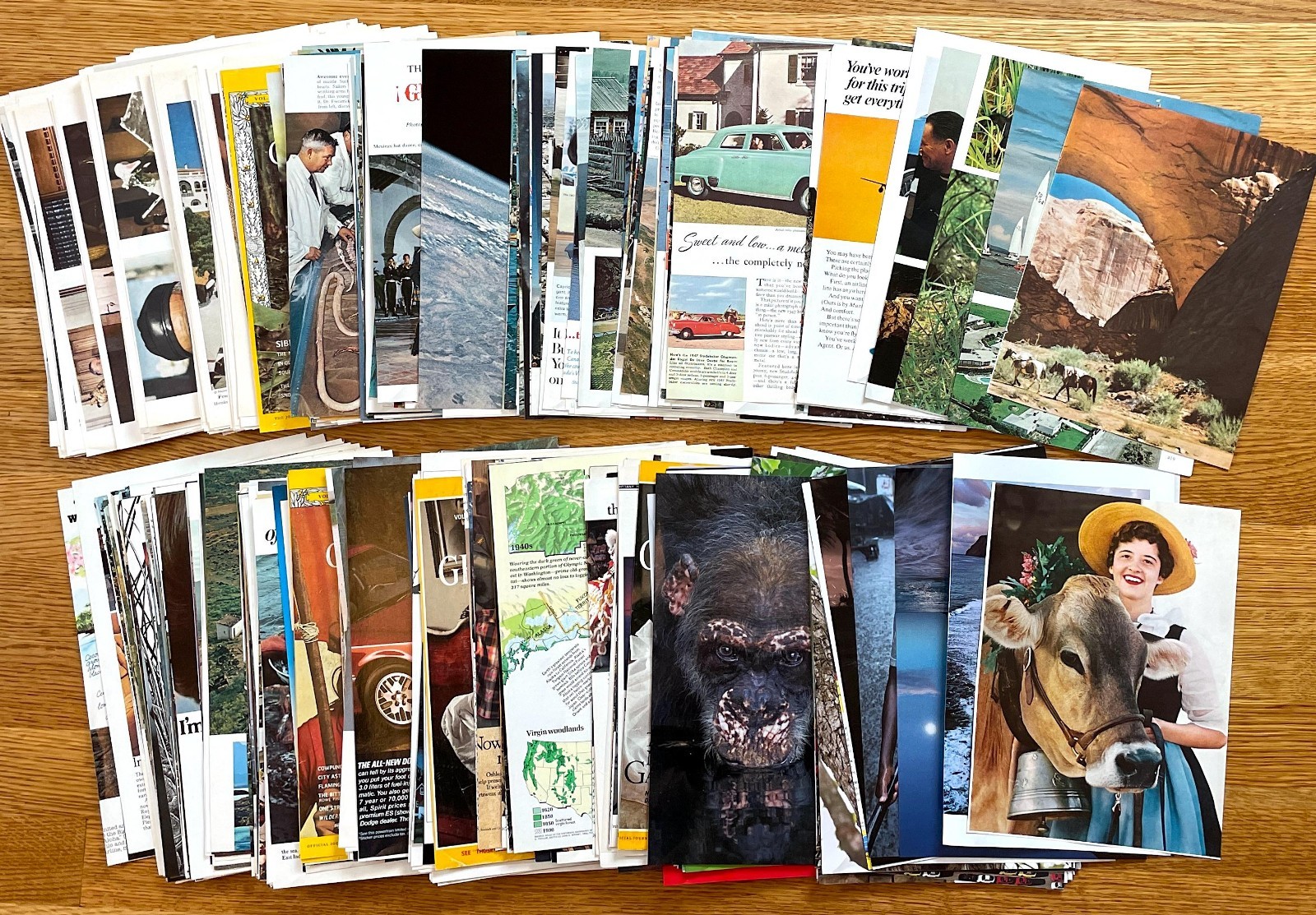 National Geographic Pages 50 or 100 | 1950s++ Scrapbooking Junk Journal Collage