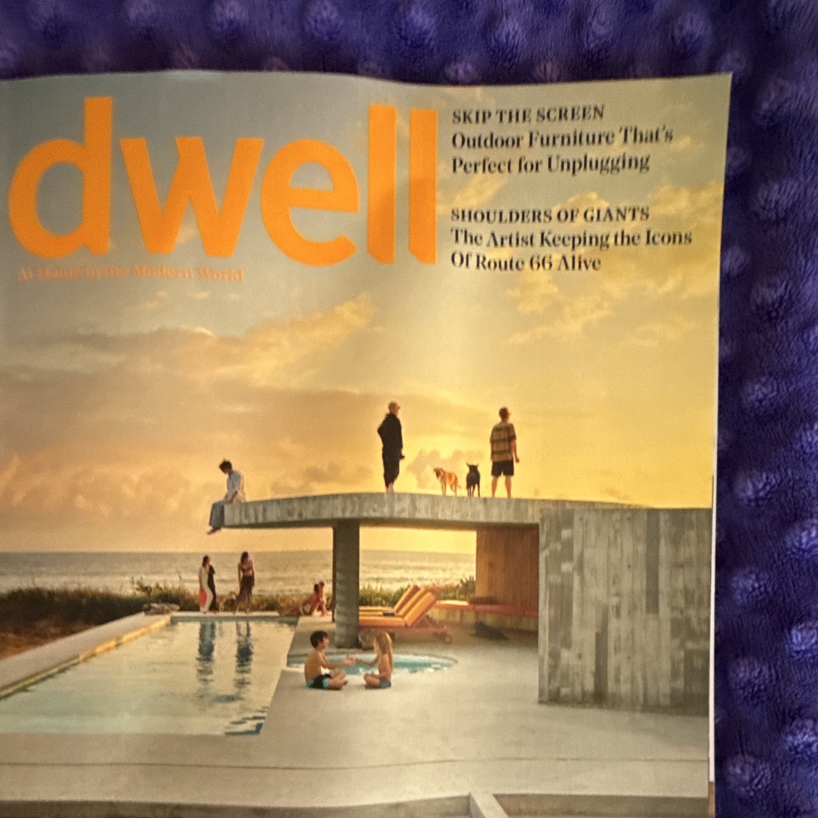 Dwell Magazine Lot Multiple Issues English Modern Homes Interior Design