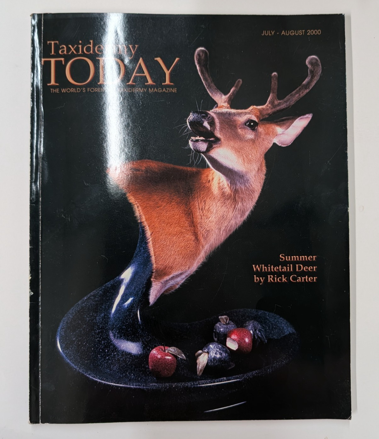 Taxudermy Today Magazine July/August 2000 Issue