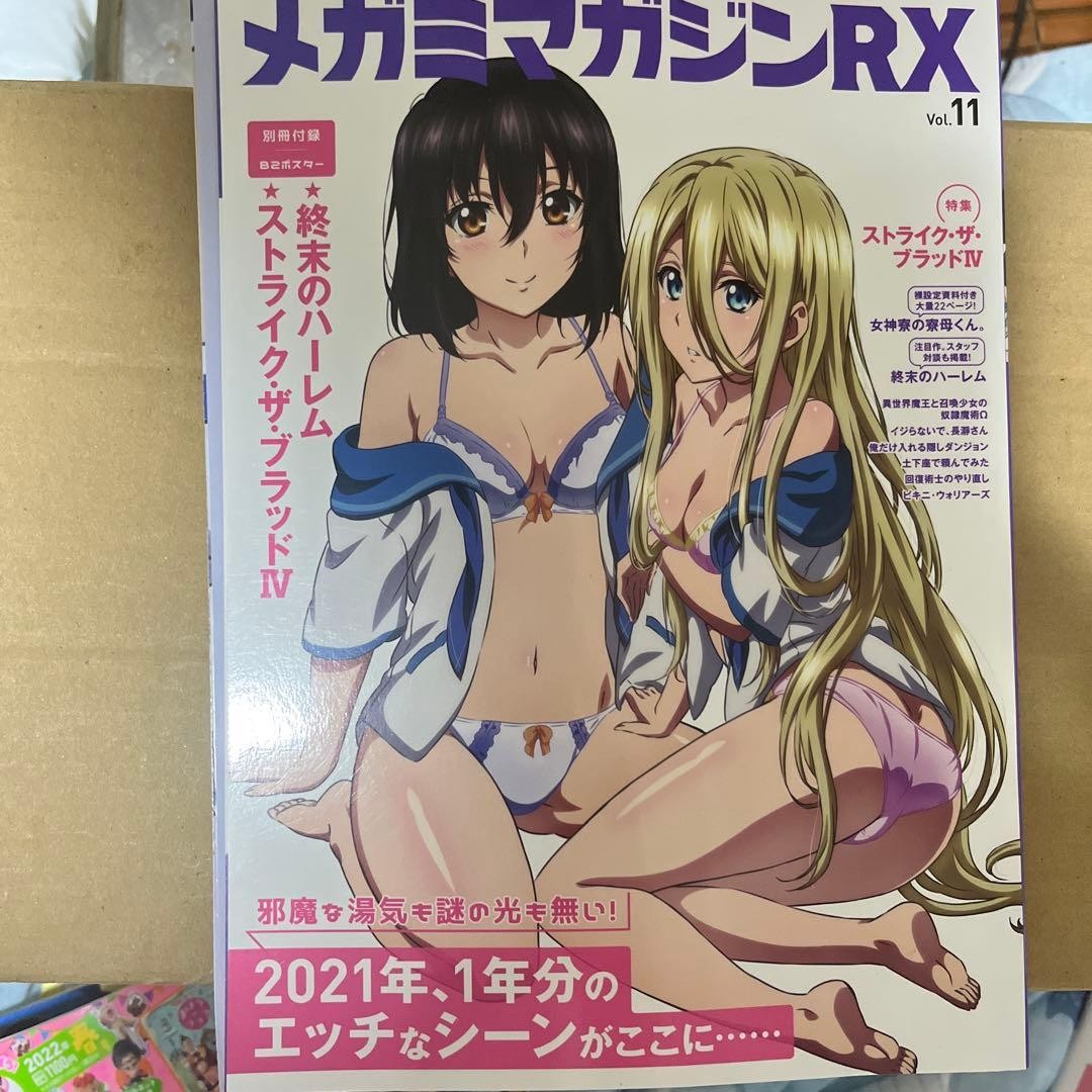 Megami Magazine RX Vol.11 Anime Magazine Strike the Blood IV Monday’s Tawa