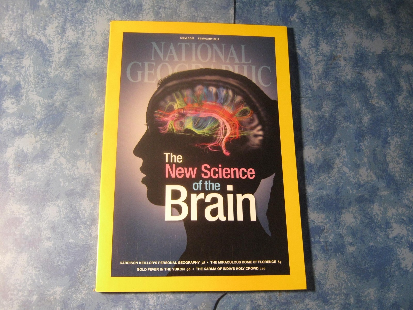 NATIONAL GEOGRAPHIC February 2014 SCIENCE OF THE BRAIN Minnesota FLORENCE DOME