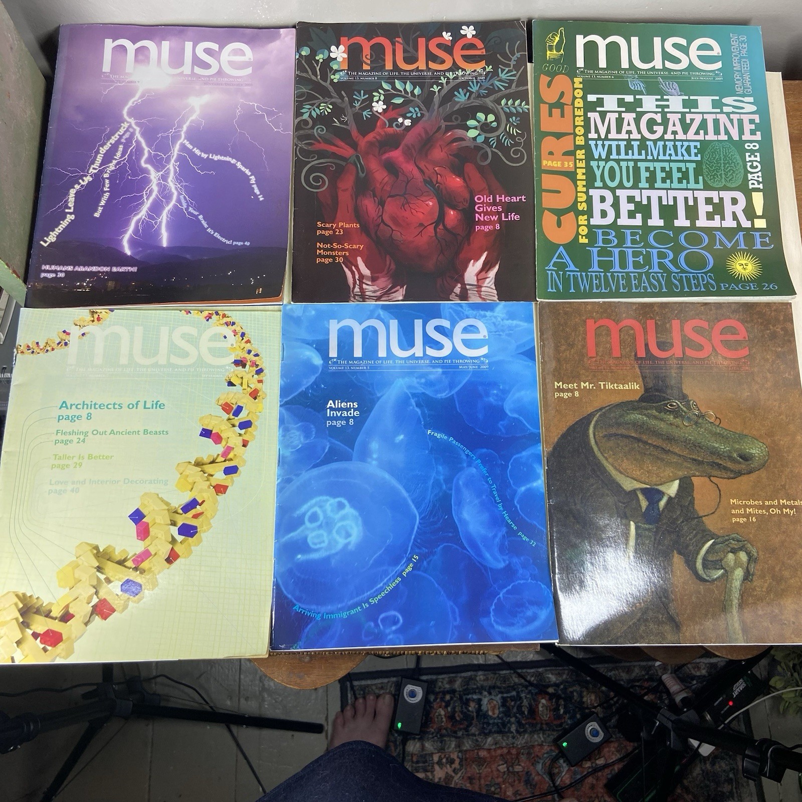 MUSE Children’s Cricket Magazine Lot 13 2008-2011 HOMESCHOOL Science Nature STEM