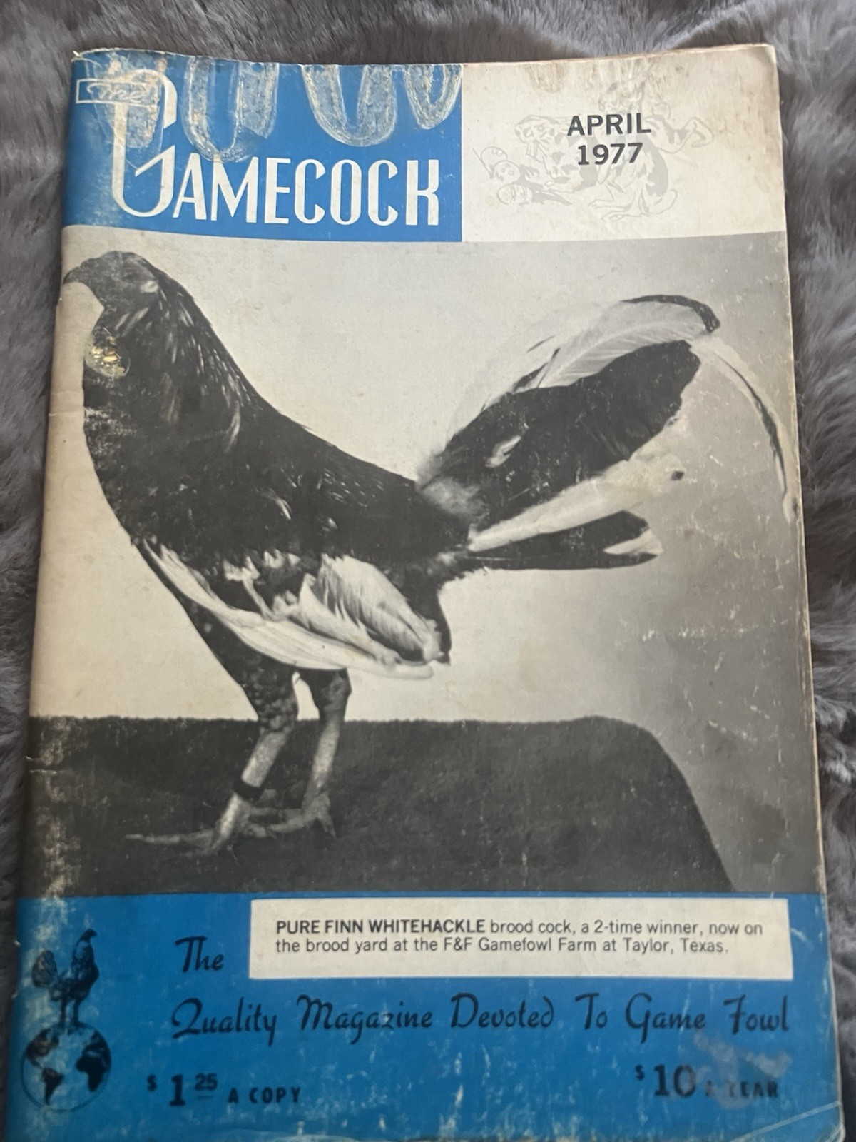Lot Of 3 Vintage 1975, 1977, 1979 Gamecock Magazines, Months March, April, May