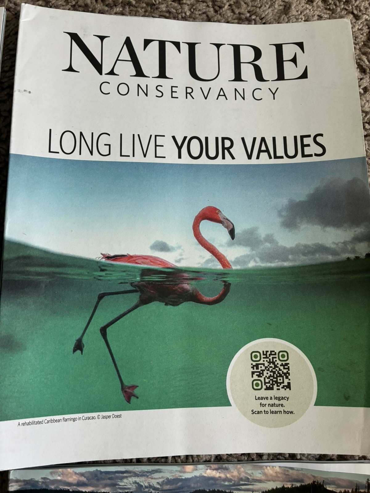 NATURE the NATURE CONSERVANCY MAGAZINE LOT OF 12