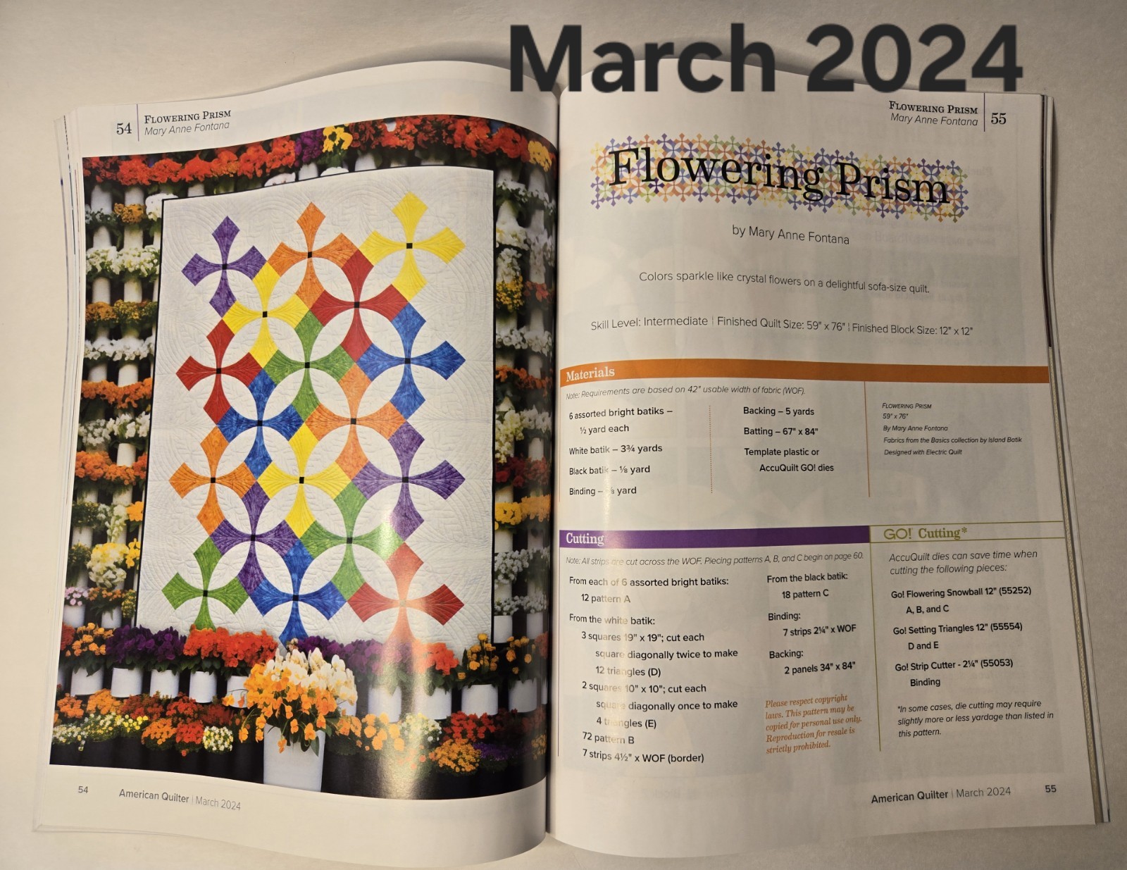 American Quilter magazines 2023/2024 (6 Different Months Available)