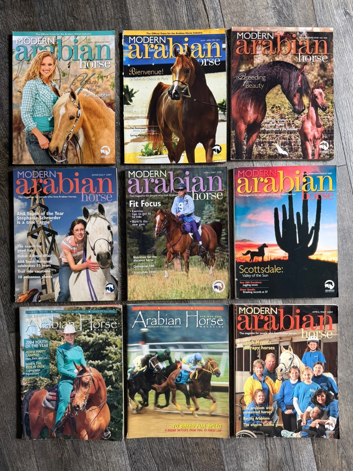 MODERN ARABIAN HORSE Magazine 9pc Lot 2005 2006 2007 2008 2009 2010 Equestrian