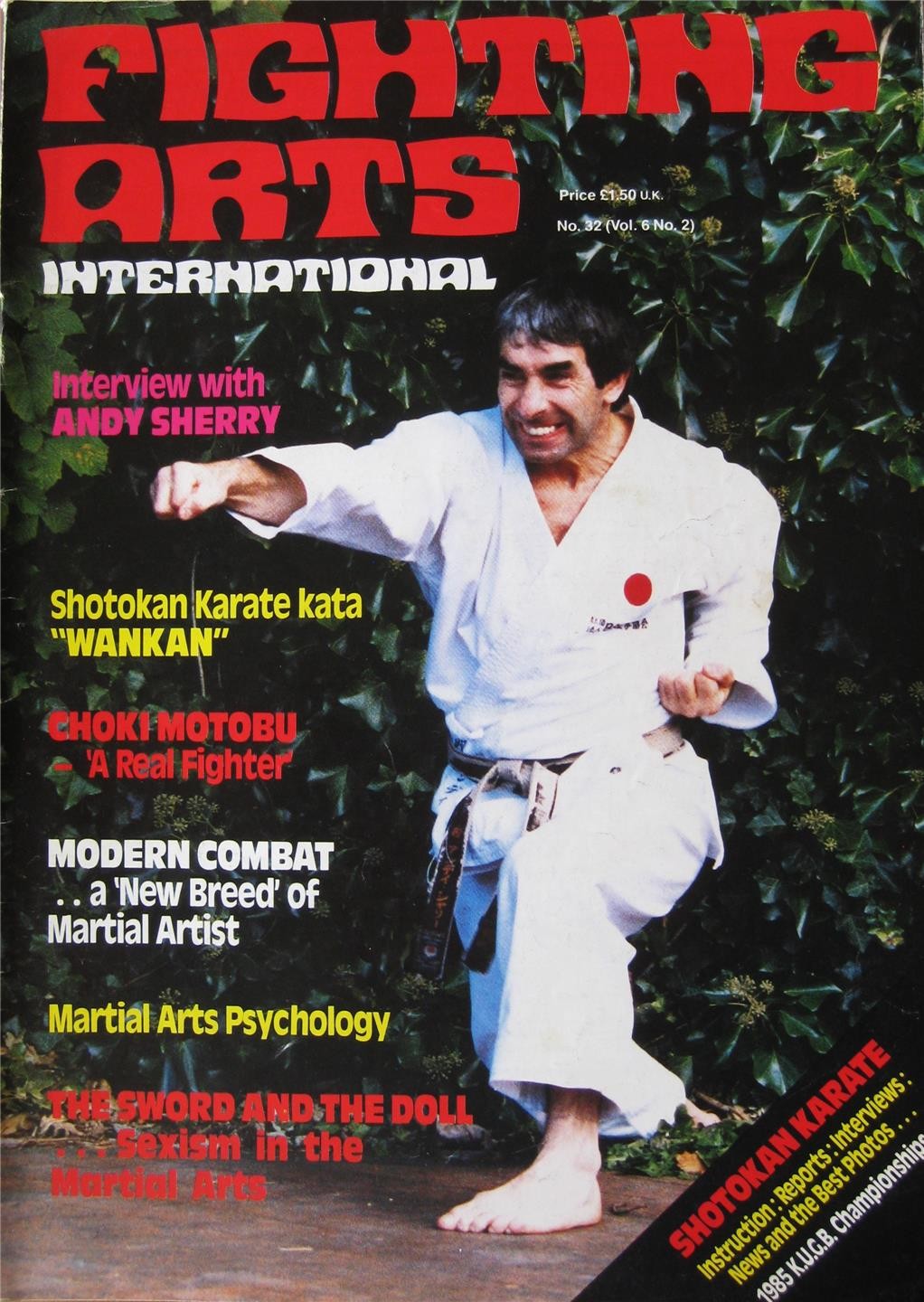 1985 FIGHTING ARTS INTERNATIONAL CHOKI MOTOBU ANDY SHERRY KARATE MARTIAL ARTS